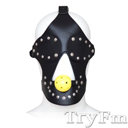 Face Covered Harness Ball Gag